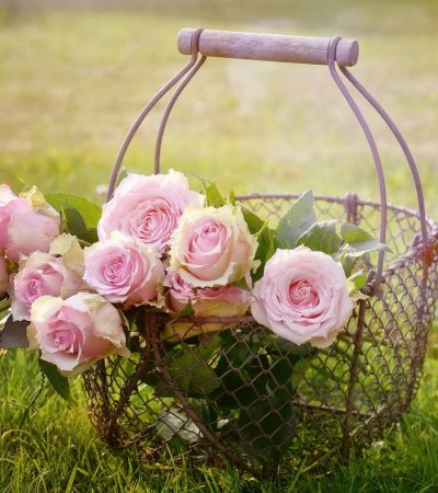 roses-1566792_1280